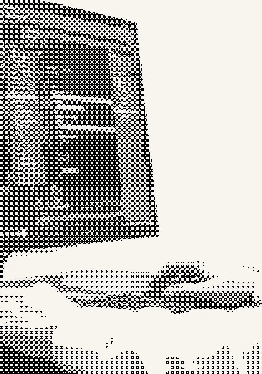 Desenvolupament web per a clíniques
